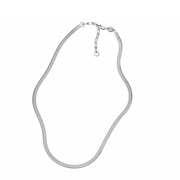 jennifer zeuner Jewelry - Jennifer Zeuner Jewelry $187 Silver Herringbone Karli Chain Necklace